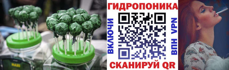 Canna-Cookies марихуана  Саранск 