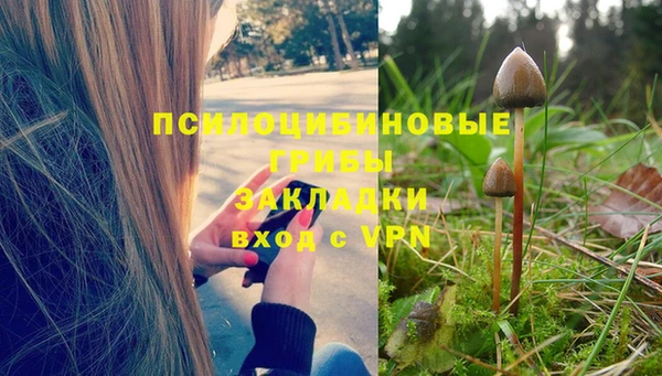 spice Алзамай