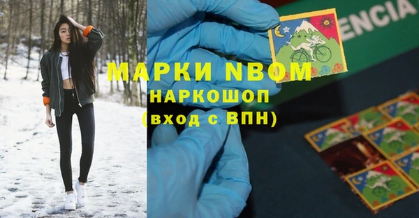 соль ск Няндома