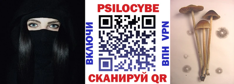 купить закладку  Саранск  Галлюциногенные грибы мицелий 